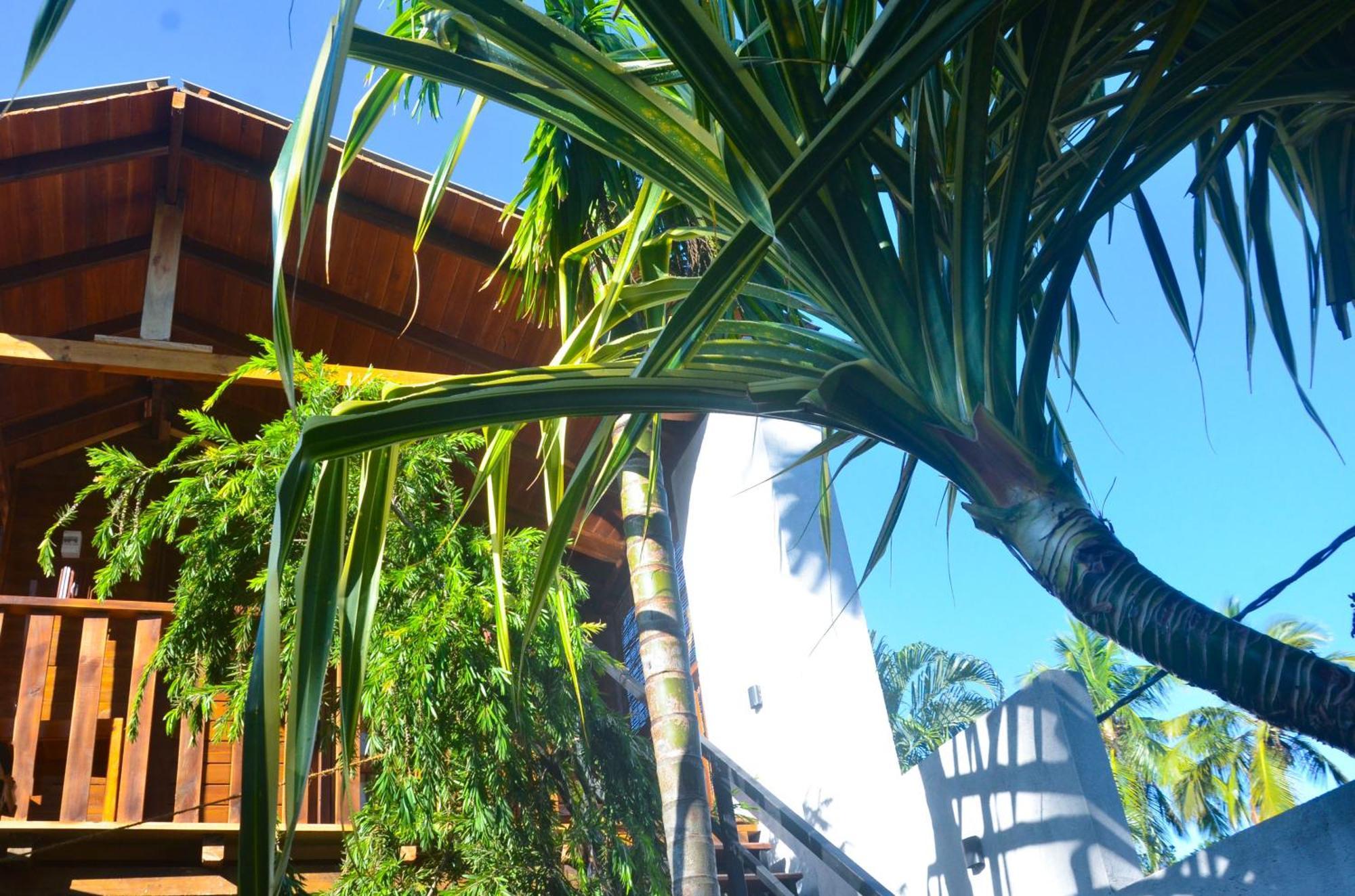 Triangle Home Stay Dambulla Exterior photo